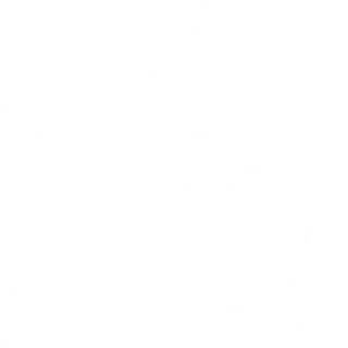 Ikon